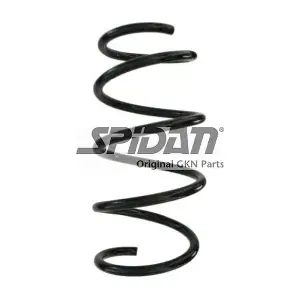 87882 SPIDAN