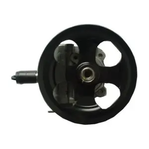 54596 SPIDAN