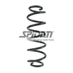 87896 SPIDAN
