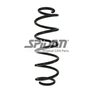 87894 SPIDAN