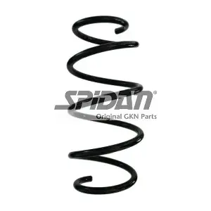 87900 SPIDAN