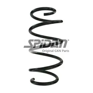 87901 SPIDAN