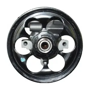 54302 SPIDAN