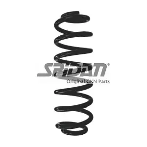 87920 SPIDAN