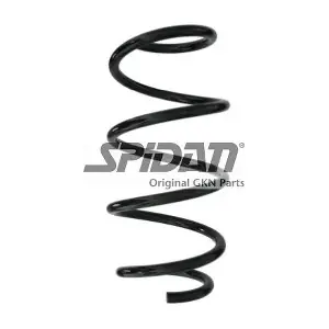 87887 SPIDAN