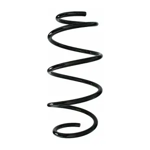 87813 SPIDAN