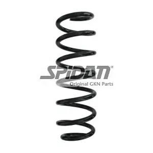 87919 SPIDAN