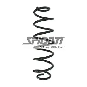 87892 SPIDAN