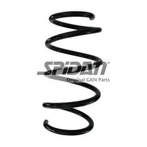 87884 SPIDAN