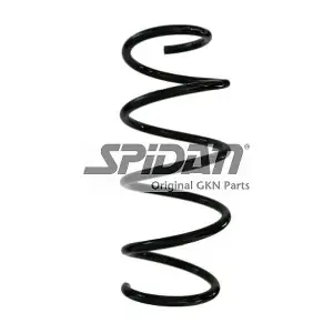 87886 SPIDAN