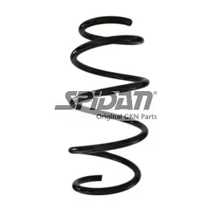 87889 SPIDAN