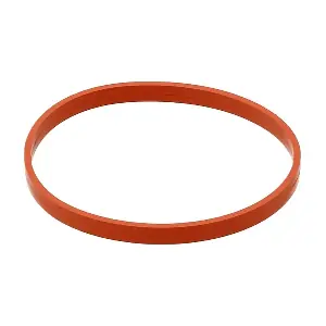 ELRING 576100