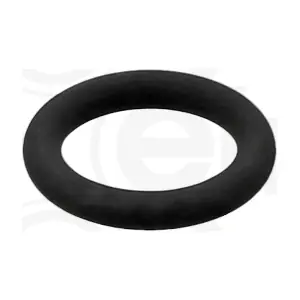 ELRING 097570