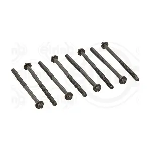 ELRING 258920