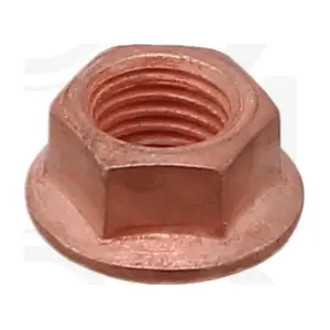 720550 ELRING