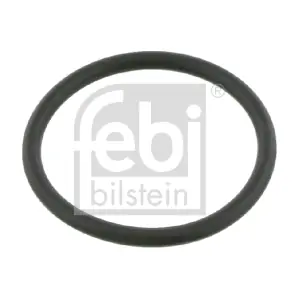 4315005900 SAF
