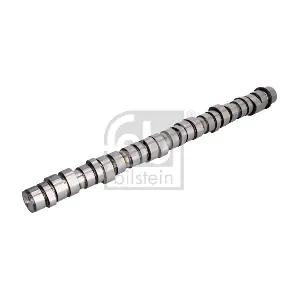 305004 OREX