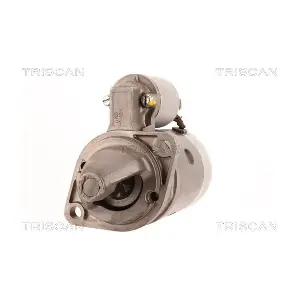 TRISCAN 8305 29063