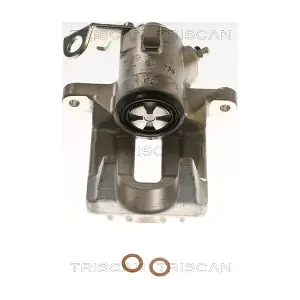 TRISCAN 8175 29221