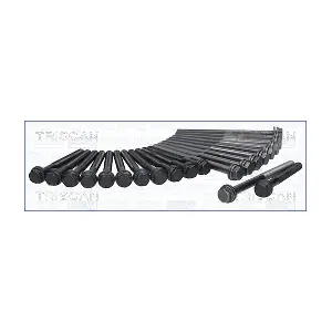 98-2503 TRISCAN