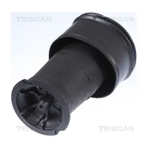 8720 38201 TRISCAN