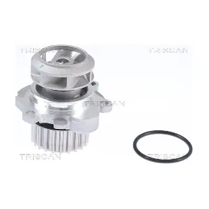 TRISCAN 860029012