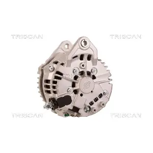 8310 29095 TRISCAN