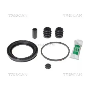 8170206801 TRISCAN