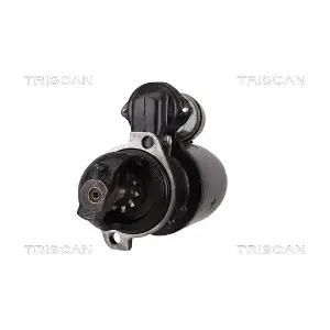 TRISCAN 8305 29048