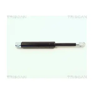 8710 2312 TRISCAN