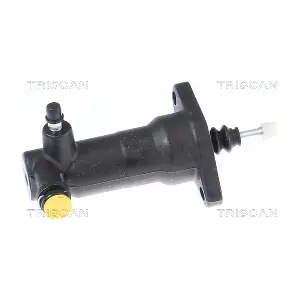 TRISCAN 813029309