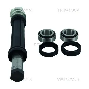 8500 38400 TRISCAN