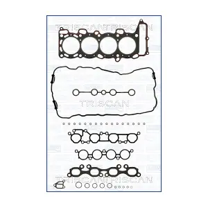 598-4582 TRISCAN