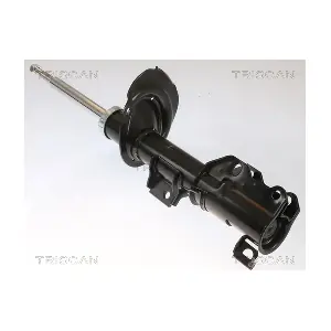 8705 23107 TRISCAN