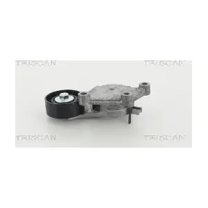 TRISCAN 8641 273006