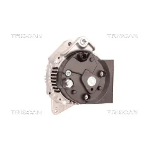 TRISCAN 8310 29040