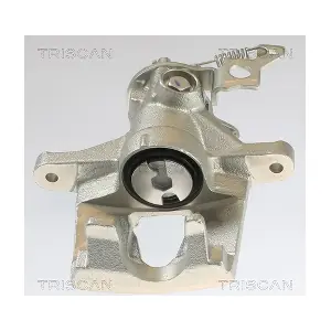 TRISCAN 8175 16101