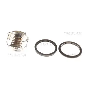 8620 7977 TRISCAN