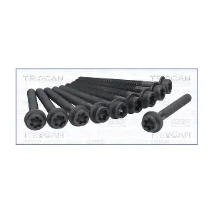 98-2513 TRISCAN