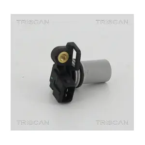 885516109 TRISCAN