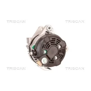 TRISCAN 8310 10031