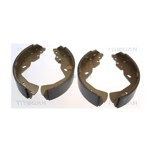 810010018 TRISCAN