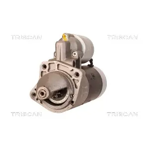 TRISCAN 8305 29009