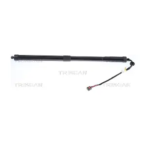 8710 17305 TRISCAN