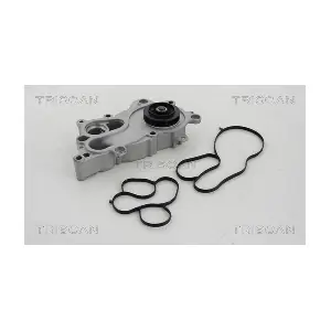 TRISCAN 860029060