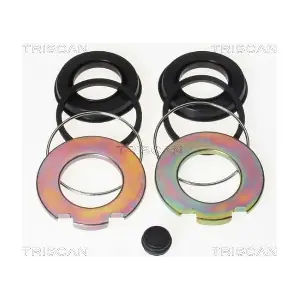 8170203804 TRISCAN