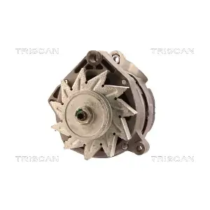 8310 10077 TRISCAN
