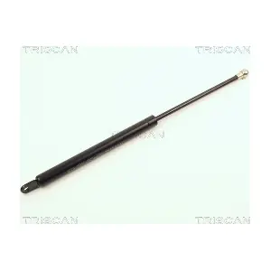 8710 2002 TRISCAN