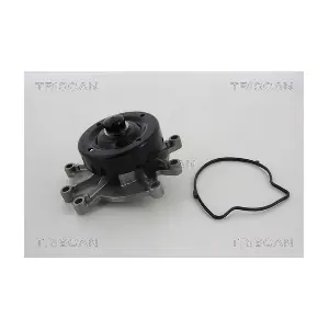 TRISCAN 860080015