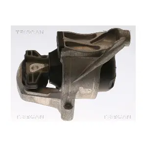 8505 29168 TRISCAN